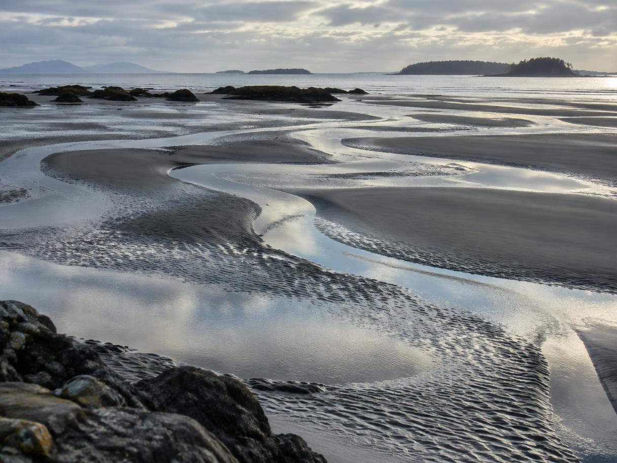 Tidal channels winding across the sandy shore at low tide