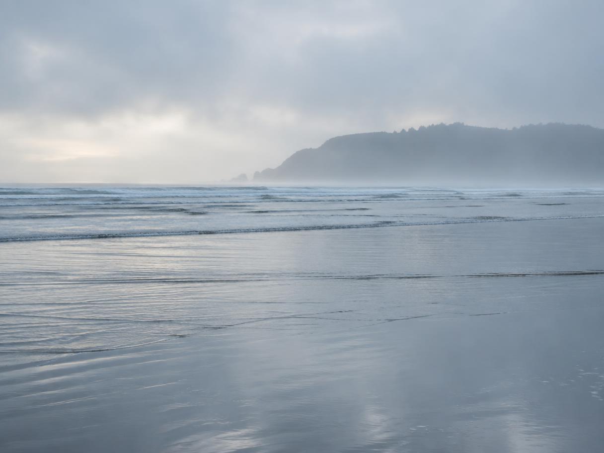 Sea mist drifting over a calm shoreline at low tide